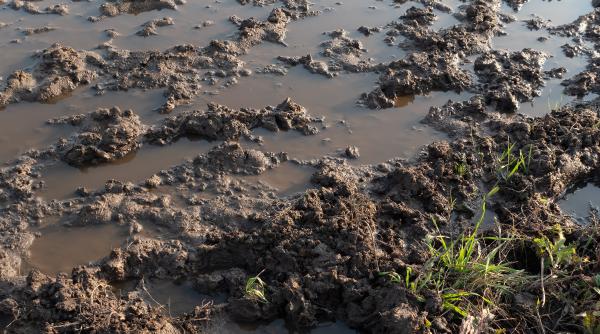 energie termica si electrica din namol vis romanesc in devenire
