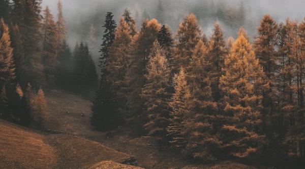 vremea 24 octombrie 6 noiembrie prognoza meteo pe regiuni cand se raceste