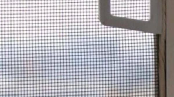 doua ingrediente pe care le aveti in casa sunt suficiente pentru a curata plasele de la geamuri