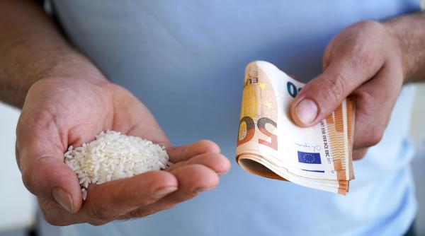 finantare de 50 000 euro ferma din fonduri europene pentru micii fermieri