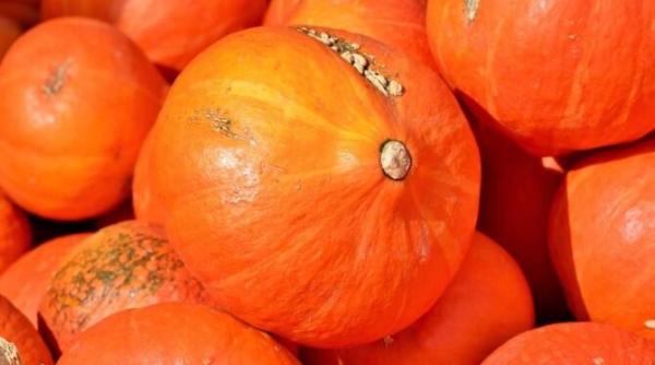 nu aruncati cojile de dovleac pregatiti niste fursecuri delicioase de ciocolata