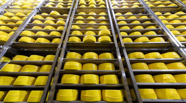 o centrala electrica din alpii francezi genereaza curent din branza