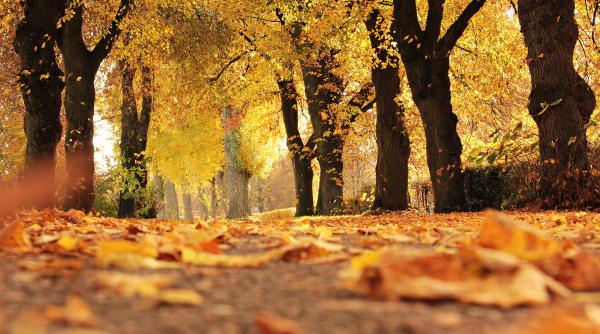 vremea pe 4 saptamani anm anunta o toamna blanda cu temperaturi mai mari decat normalul perioadei