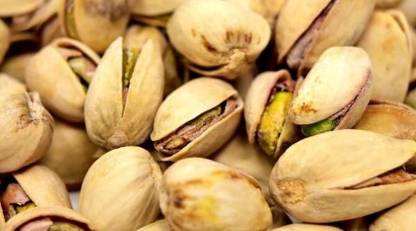 pune niste fistic in ghiveci daca urmezi acesti pasi va incolti chiar pe pervazul tau