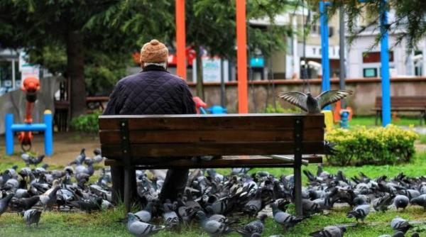 esti martor la un avc pandrea sanador ce sa faci cat timp astepti sa vina ambulanta video