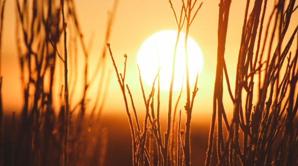 nasa a imortalizat zambetul soarelui foto