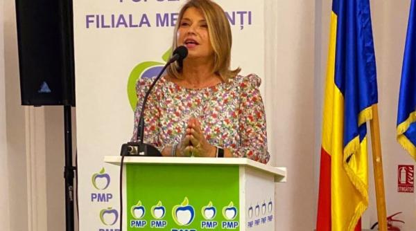 pmp se pregateste pentru anul revansei anisoara stanculescu votantii de dreapta trebuie sa aiba o alternativa in 2024