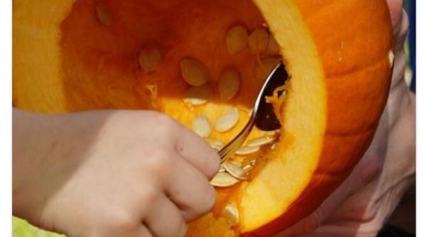 ce sa faci cu pulpa de dovleac ramasa dupa halloween si cum sa o pastrezi