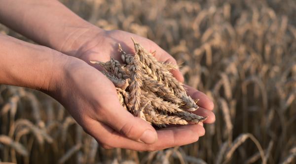 franta lucreaza la o ruta terestra prin romania sau polonia pentru exporturile de produsele agricole ucrainene