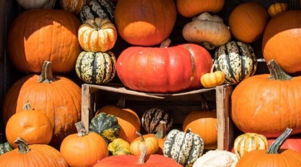 dovleac inabusit cu mere un desert care se prepara usor cei dragi il vor adora