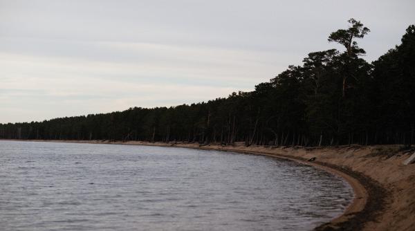 palma de pamant care a trecut de la o tara la alta fara niciun tratat totul a tinut de natura