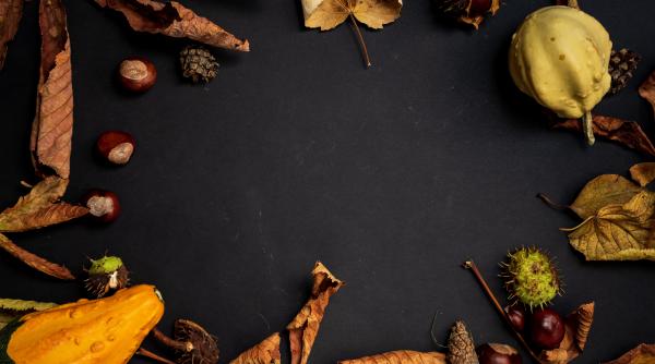 trucuri cu legumele si fructele toamnei pentru un ten perfect mirela vescan si thea haimovitz va spun combinatiile perfecte din natura simplu ieftin si eficient video