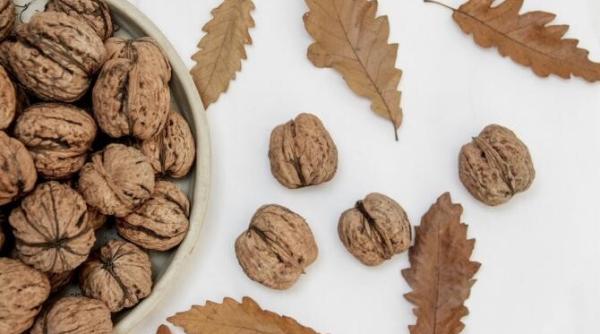 nucile fac bine creierului pe locul doi afinele si ceapa se regaseste pe lista lui ciurea