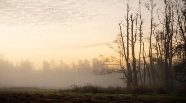 dupa temperaturile de vara iarna bate la usa anunturi de ultima ora de la meteorologi