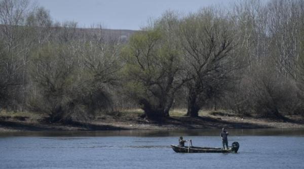 zone din delta dunarii la un pas de a se transforma in mlastini sau portiuni de uscat