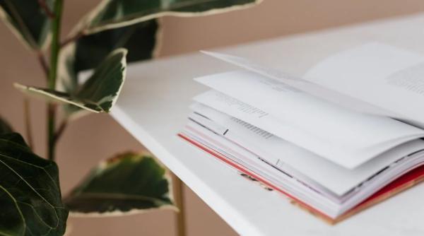 flori si plante care aduc ghinion daca le tii in casa