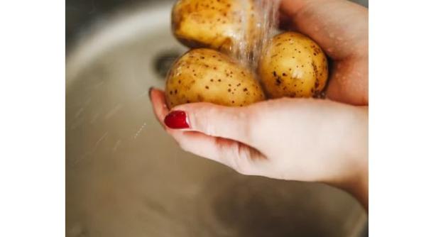 bilic salata orientala un preparat cu efect prebiotic garnitura perfecta pentru orice tip de carne peste