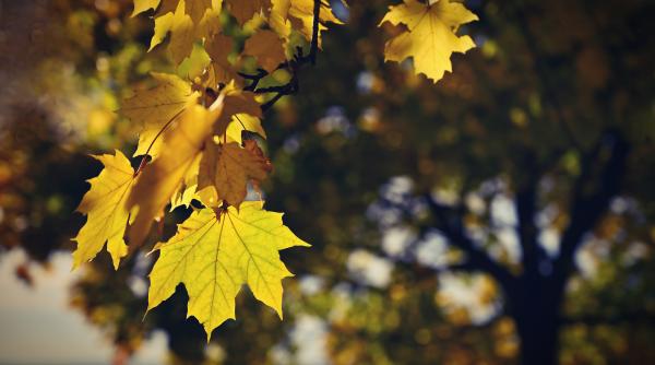 vremea a tinut cu noi consumul de gaze a scazut cu 22prc datorita temperaturilor din octombrie