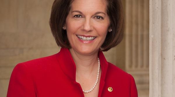 alegeri sua democratii isi mentin controlul in senatul american