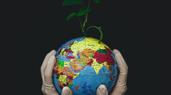 azi in lume stirile zilei de 13 noiembrie