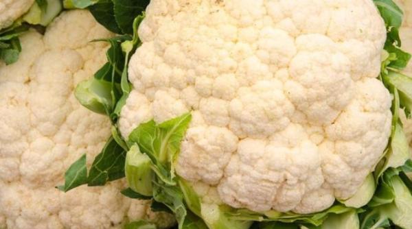 chiftele siciliene din conopida excelente pentru cei care sunt la dieta doar 50 de calorii pentru o portie