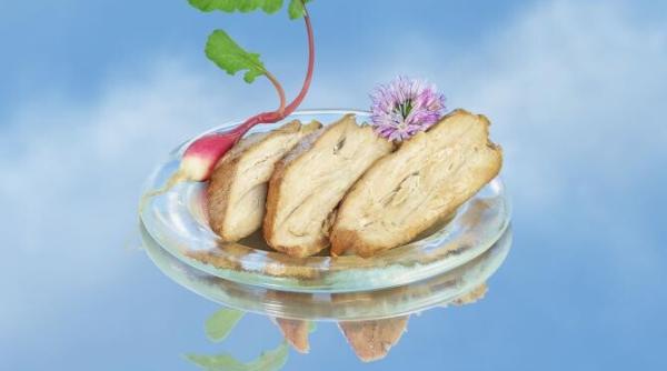 friptura pe baza de aer nu este o gluma ci inventia unui start up din sua