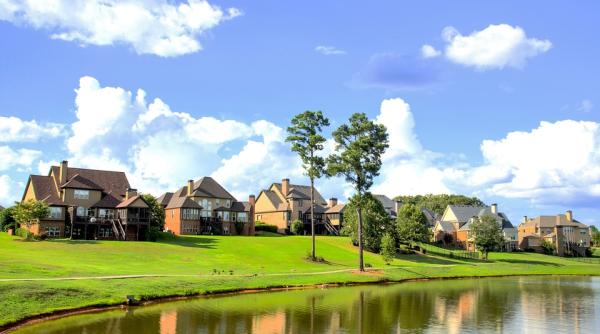 greenfieldurile proiecte ambitioase blocate de ong uri ana bulai se ofuscheaza nu pot totusi lua rolul decidentilor in administratia locala