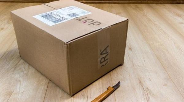 nu arunca cutiile de carton iata cum le poti transforma in ingrasamant pentru plante