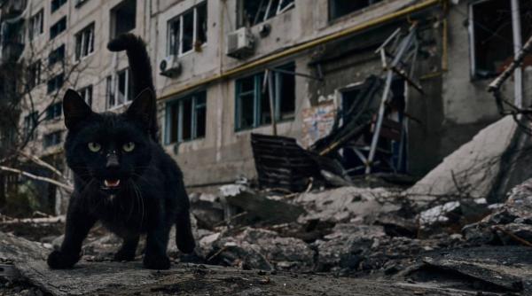 analiza mesajul nato catre kiev ar fi va dam arme dar nu vom merge la razboi