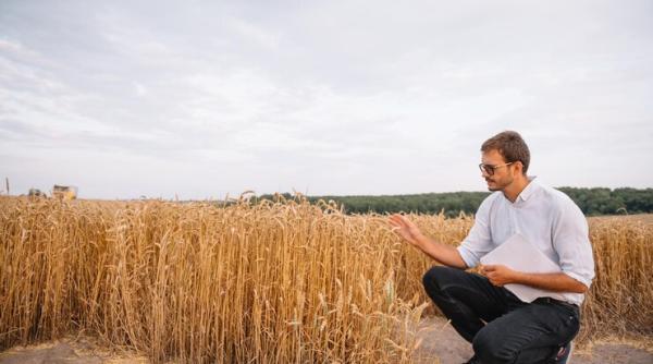 ajutoare de 365 milioane de lei pentru fermierii afectati de seceta