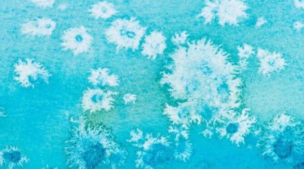 elimina petele de mucegai de pe tesaturi cu un remediu foarte usor si fara inalbitor