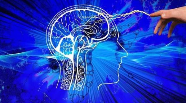 sase alimente care au efecte uimitoare asupra creierului