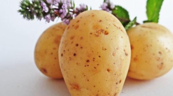 trei greseli pe care le faci cand gatesti cartofi iata care sunt si nu le mai repeta