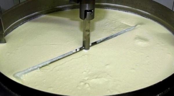 cel mai bun mod de a consuma iaurtul daca vrei sa slabesti