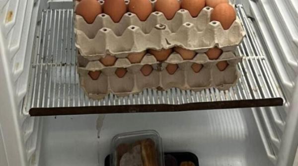 restaurant renumit din constanta amendat de cjpc inspectorii au gasit alimente expirate gandaci si mizerie