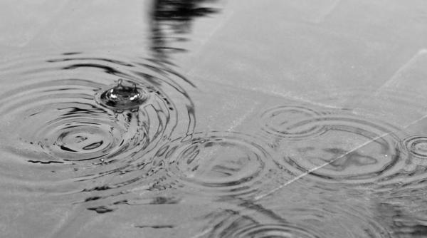 nicusor dan anunta ca meciurile de la cm 2022 pot fi vazute in piata constitutiei