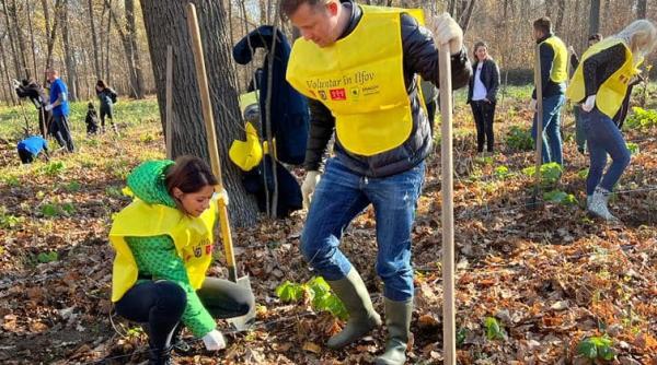 hubert thuma cj ilfov mii de arbori plantati in padurea vladiceasca