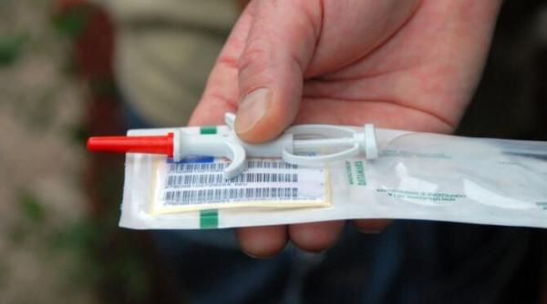 ccr va dezbate astazi sesizarea privind legea referitoare la gestionarea vaccinarii antirabice a cainilor