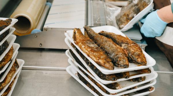 peste contaminat cu microplastice lucian georgescu o bucata de microplastic poate transporta orice virus si bacterie