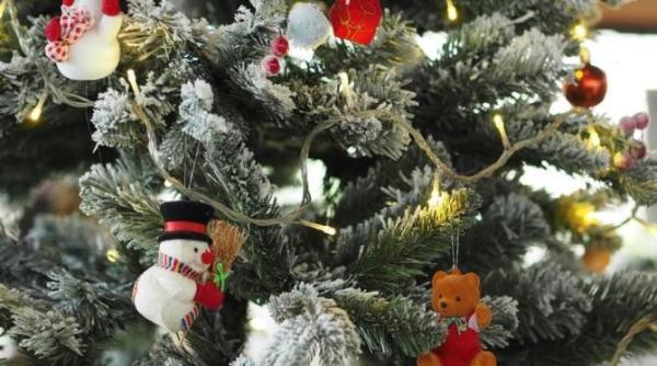 decizia autoritatilor germane bradul din fata cancelariei federale iluminat doar patru ore pe zi