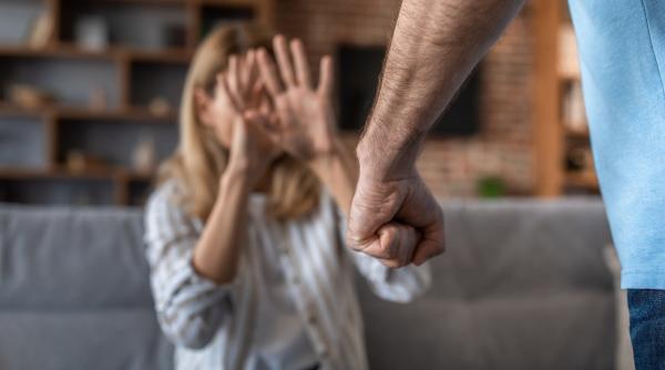 violenta domestica chirvasuta bataia duce la frustrare nu la educare nici animalul nu se dreseaza cu pumnul