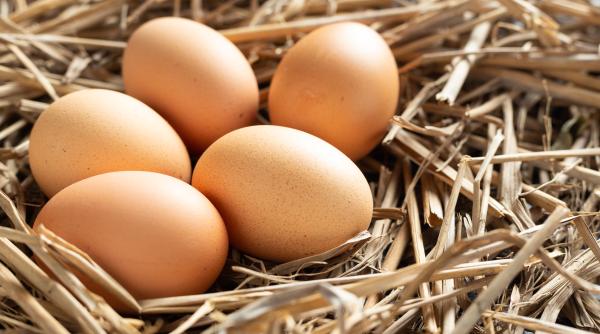 pretul oualor s ar putea dubla de sarbatori