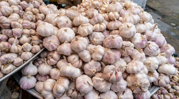 ue acuza china escrocherie si contrabanda de usturoi evaziune de zeci de milioane de euro