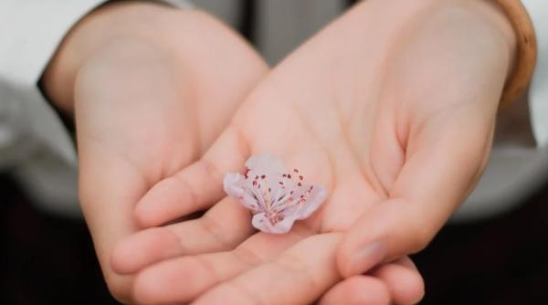 fundatia universitara carol i sprijina educatia copiilor din odorheiul secuiesc