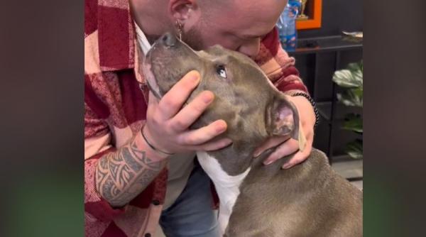 video cu momentul cand un chiropractician i a trosnit gatul unui pitbull