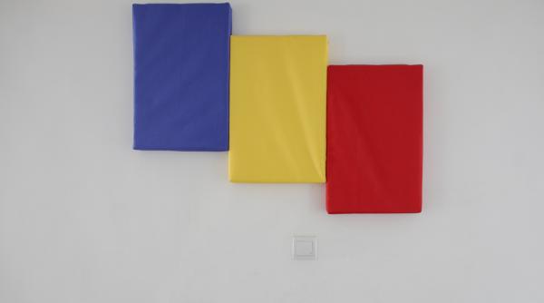 cati romani isi sarbatoresc ziua de nastere pe 1 decembrie