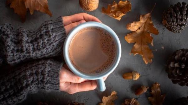 ciocolata calda de casa din doar doua ingrediente