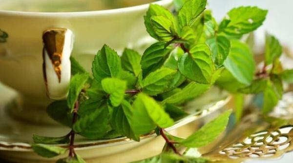 consumati regulat ceai de menta are zeci de beneficii pentru sanatate