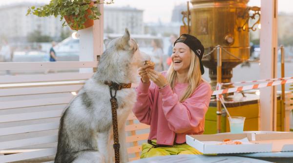 criza loveste marea britanie unii oameni au inceput sa manance hrana animalelor de companie si sa si incalzeasca mancarea la lumanare