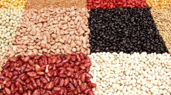 consuma regulat leguminoase sunt o sursa excelenta de proteine si fibre